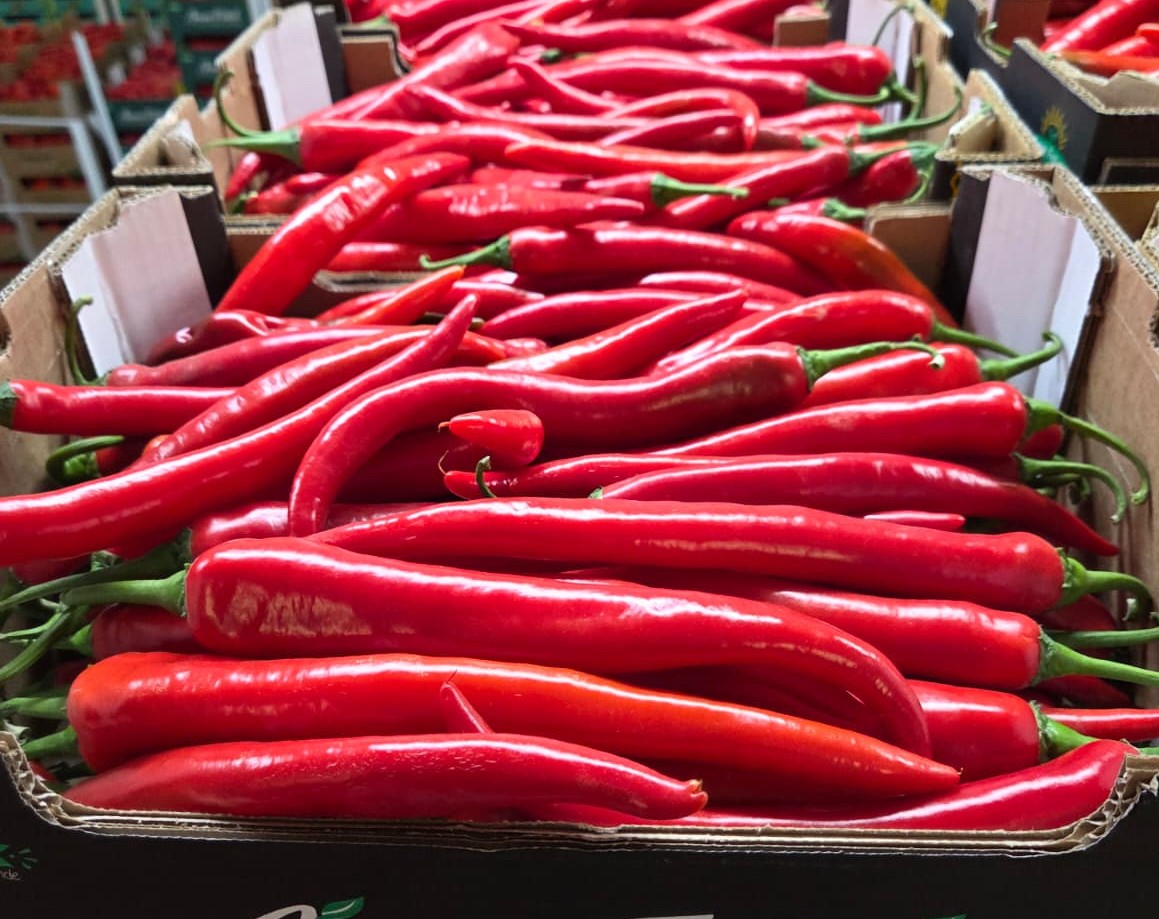 P@iement Fruits Rouges Piment Rouge - Top Fruits